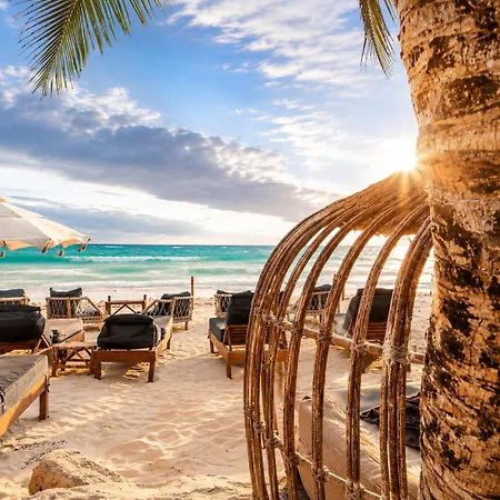 Olivia Oceanfront Hotel