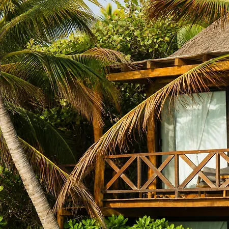 Olivia Oceanfront Tulum