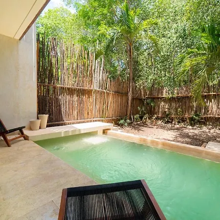Your In The Mayan Jungle Private Pool, 2 Bedrooms Holiday home