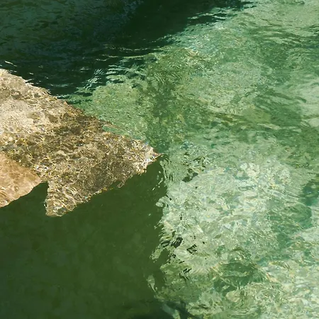 Holiday home Jungle 4br Private Pool *