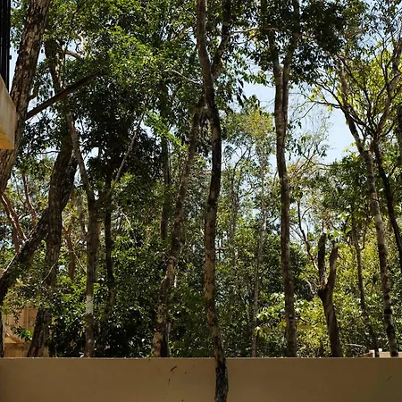 Jungle 4br Private Pool Holiday home