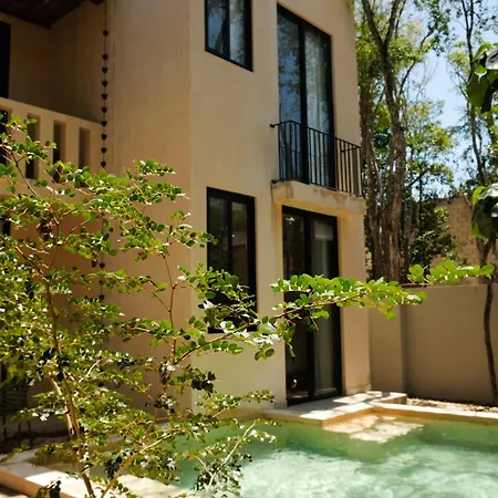 Jungle 4br Private Pool Holiday home Tulum