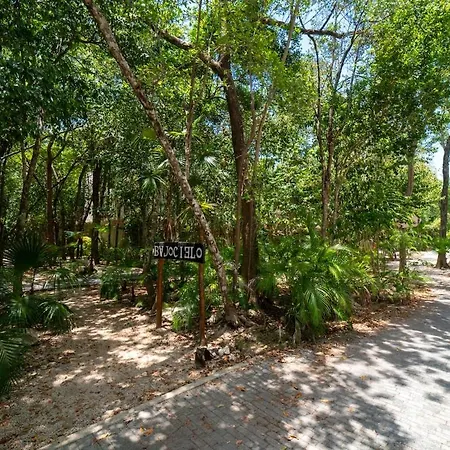 Holiday home Your In The Mayan Jungle Private Pool, 2 Bedrooms