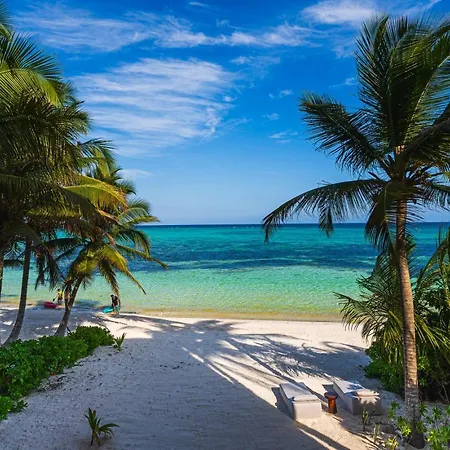 Luxury Beachfront 3br * Tulum