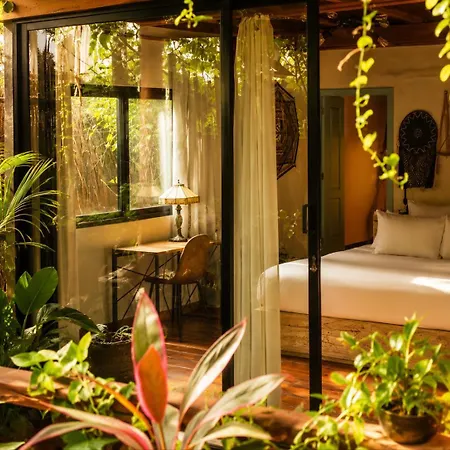 Olivia Oceanfront 5* Tulum