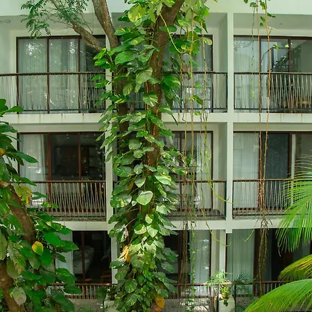 Hotel Hotel Blanco Tulum