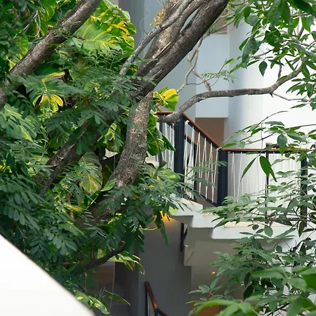Hotel Hotel Blanco Tulum 3*