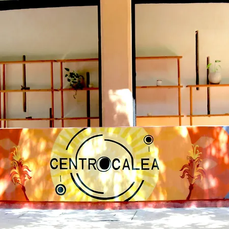 Hotel Calea Boutique 4*