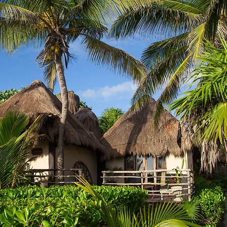 Hotel Playa Esperanza 4*
