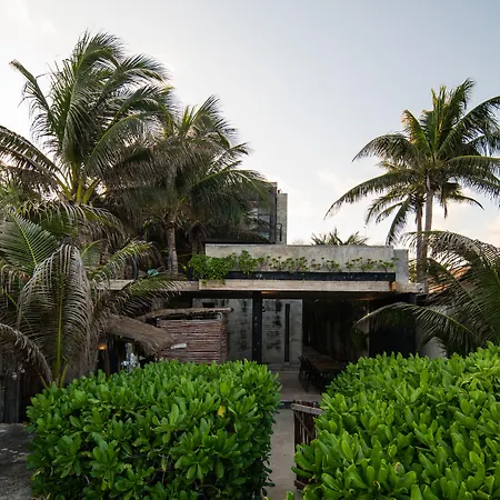 Tropicalito * Tulum