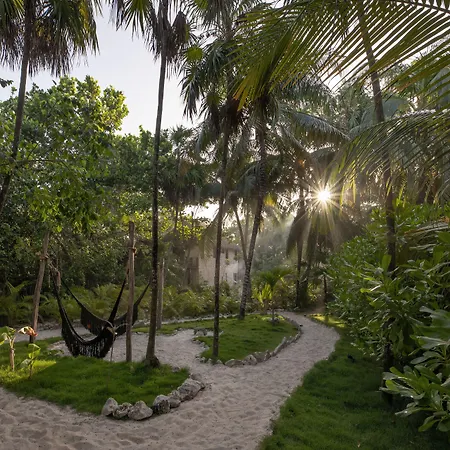 Nest Hotel Tulum