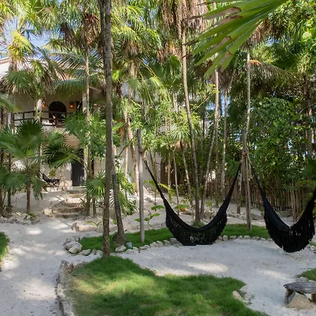 Hotel Nest 4*