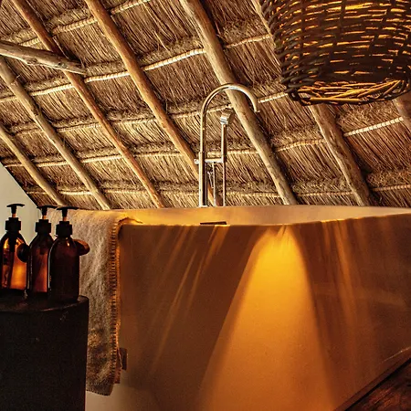 Hotel Nest 4*
