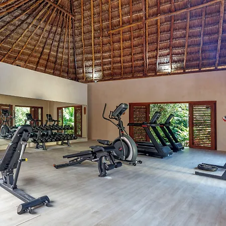 Shibari - Restaurant & Cenote Club