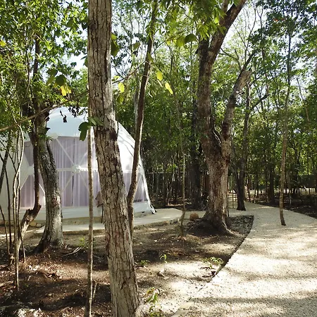 Glamping Mayan Glam * Tulum