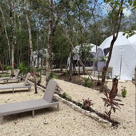 Glamping Mayan Glam Luxury tent *