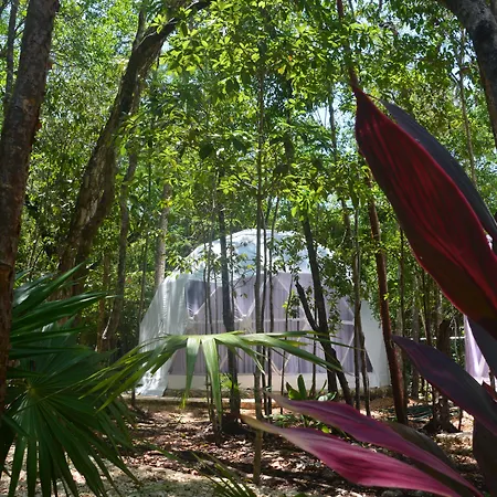Luxury tent Glamping Mayan Glam Tulum
