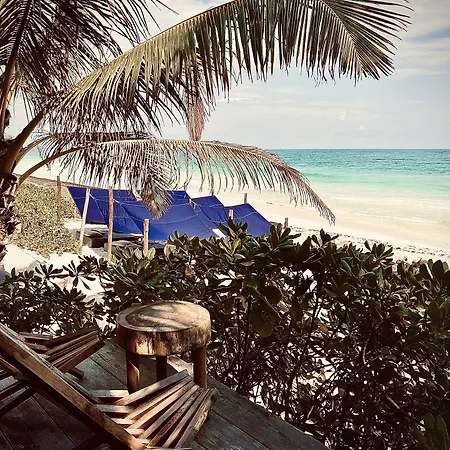 Hotel Libelula Beachfront 4*