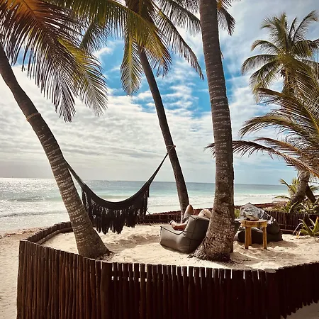 Hotel Libelula Beachfront 4*