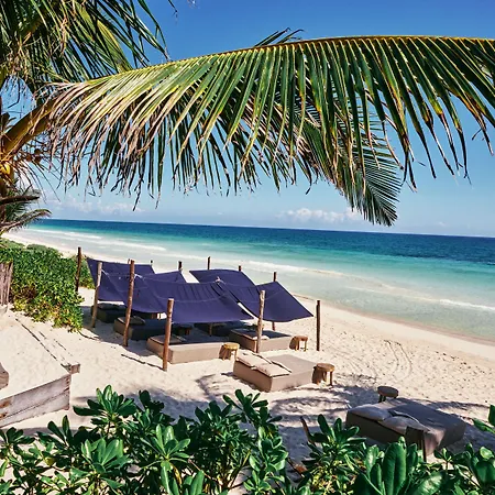 Libelula Beachfront 4*