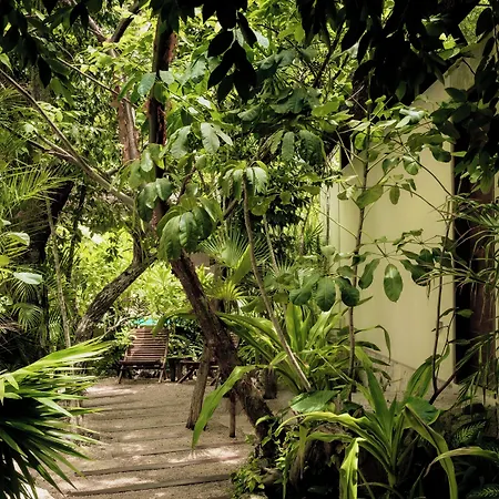 Jungle Keva & Venue * Tulum