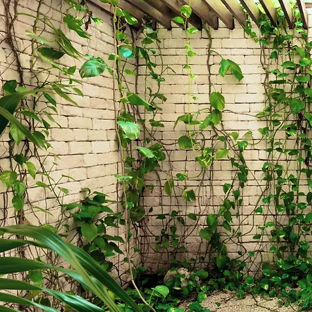 Villa Jungle Keva & Venue *