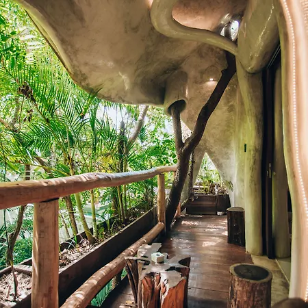 Hotel Orchid House Jungle