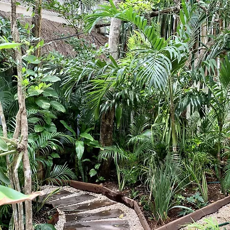 Orchid House Jungle 5*