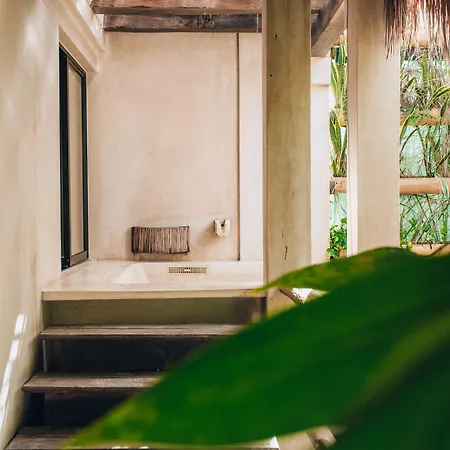 Orchid House Jungle Hotel