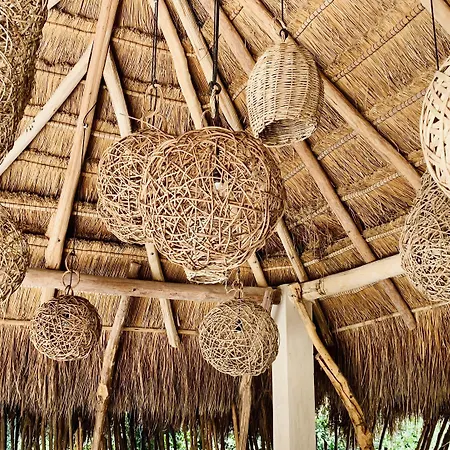 Hotel Orchid House Jungle 5*