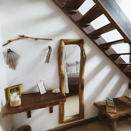 Casa Violeta 3*