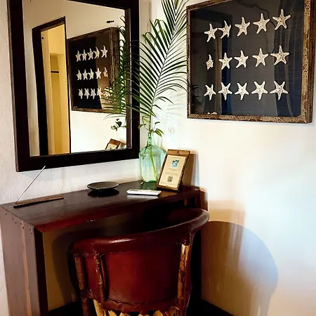 Casa Violeta 3*