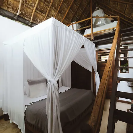 Casa Violeta 3* Tulum