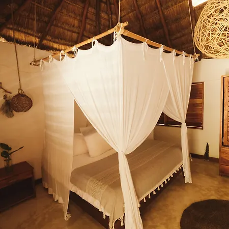 Casa Violeta Hotel Tulum