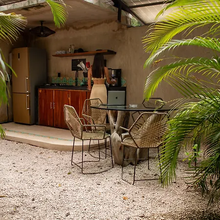 Hotel Bufo Alvarius Tulum