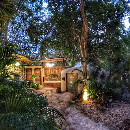 Bufo Alvarius 2* Tulum