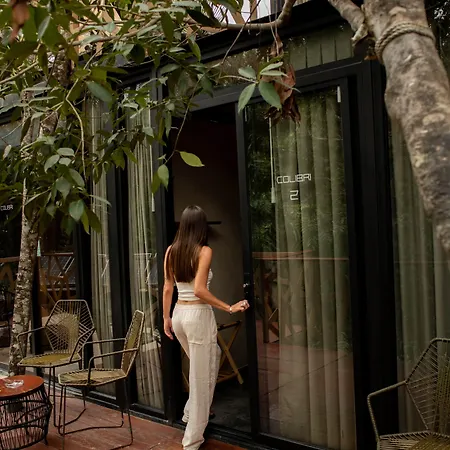 Hotel Bufo Alvarius