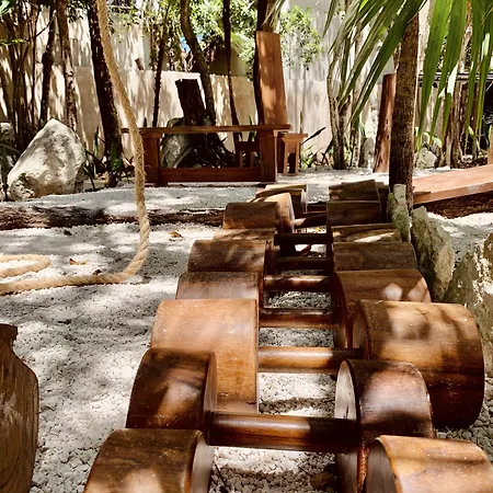Bufo Alvarius Hotel Tulum