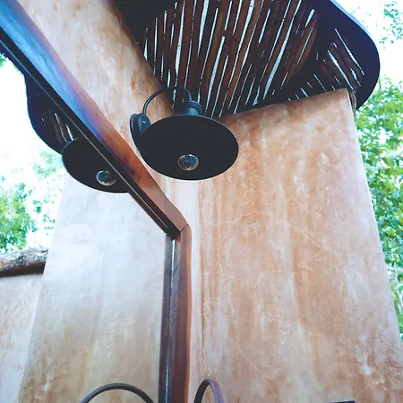 Hotel Bufo Alvarius