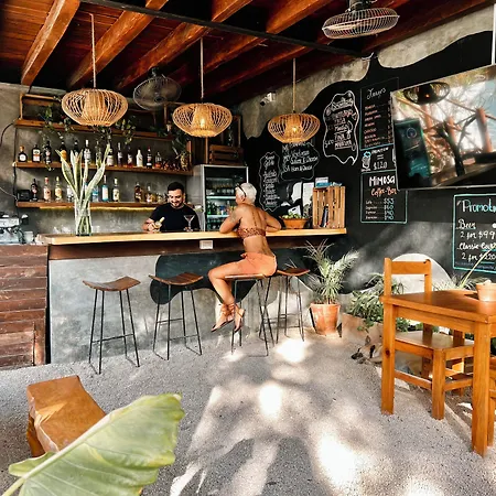 Mimosa Tulum