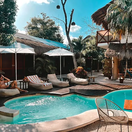 Mimosa * Tulum
