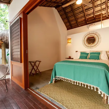 Mimosa Hostel