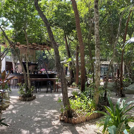 Motto By Hilton Hotel Tulum