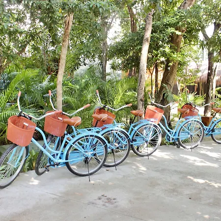 Hotel Aluna Tulum