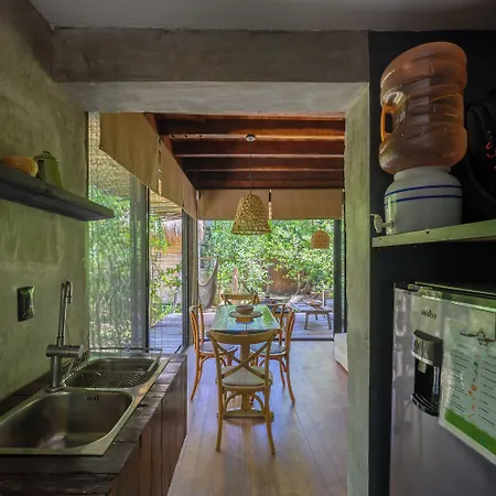 Vida Silvestre * Tulum