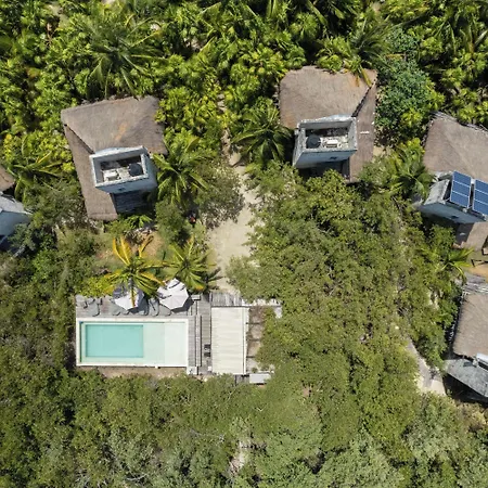 Lodge Vida Silvestre *