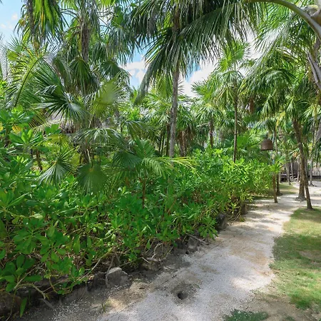 Vida Silvestre * Tulum