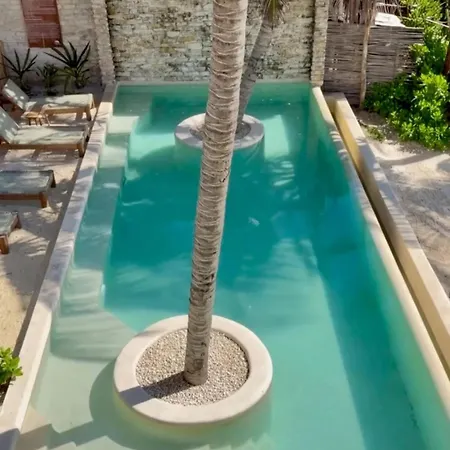 Azucar Tulum