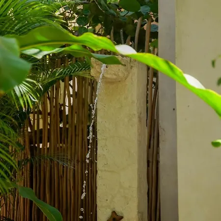 Azucar Tulum