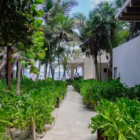 Azucar Tulum